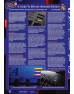 Amiga Addict Magazine Issue 20